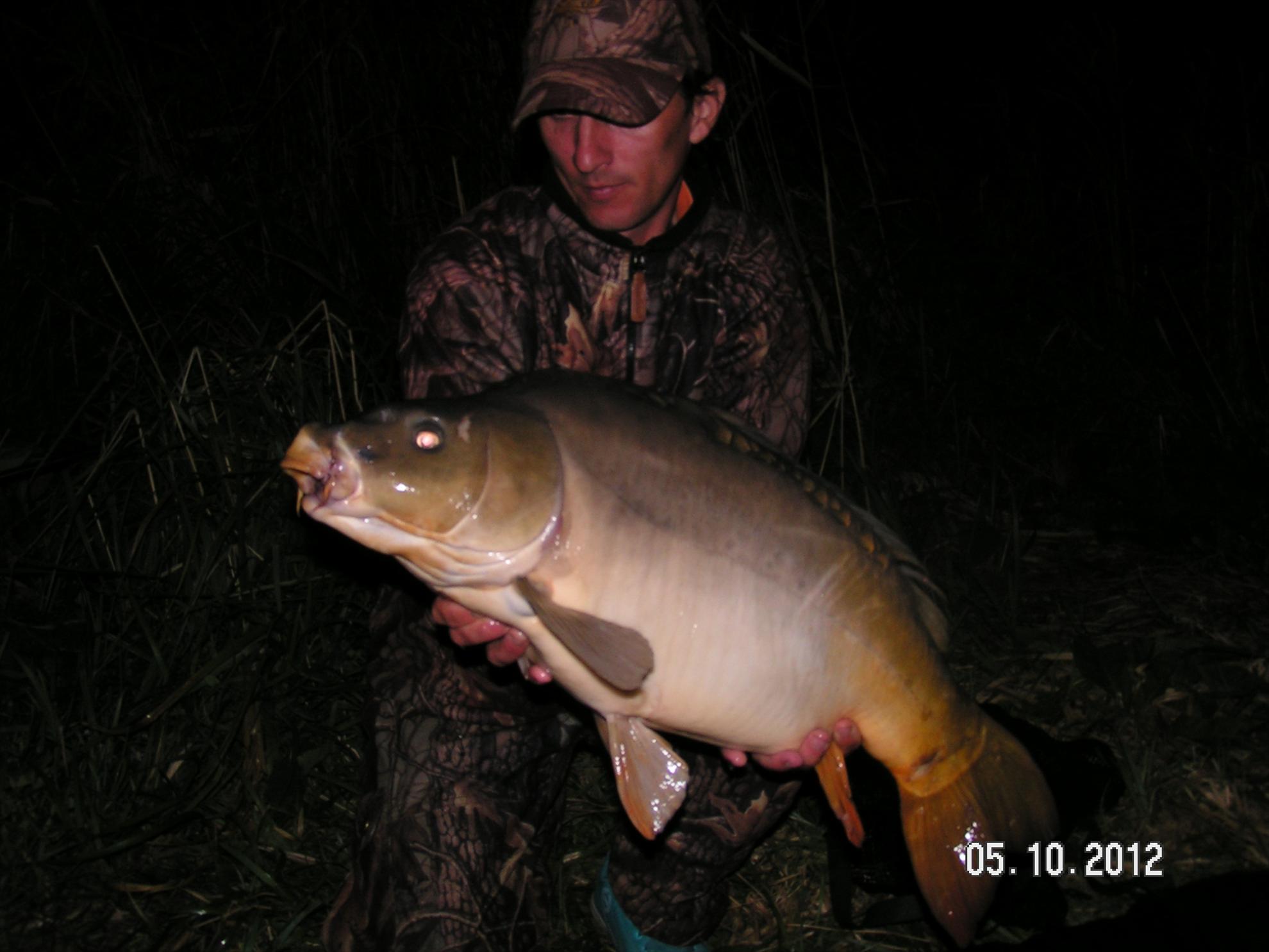 Lates 4-6.10.2012 - pict1149.JPG